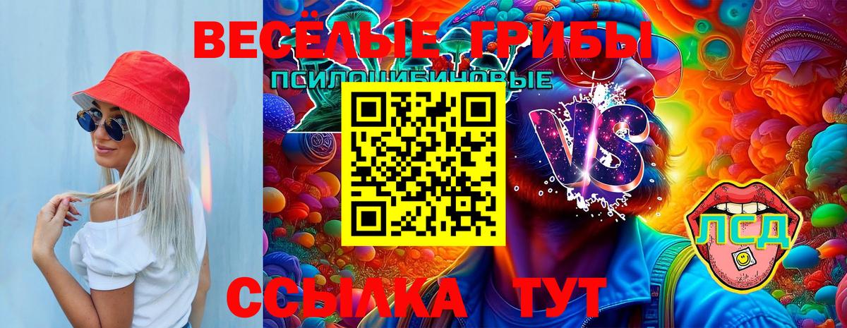 Кирово-Чепецк  Галлюциногенные грибы мицелий  Вход с VPN 